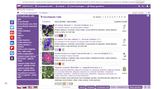 Desktop Screenshot of ogrod-pl.com